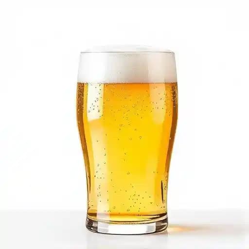 Laid Up Lager